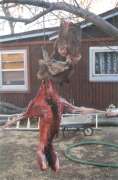 [Deer]