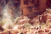 [Muletrain in Havasupai canyon]